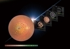 自動追蹤和自動對焦 自動追蹤和自動對焦